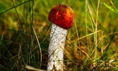 Efektívne spôsoby, ako zvýšiť hlavu penisu